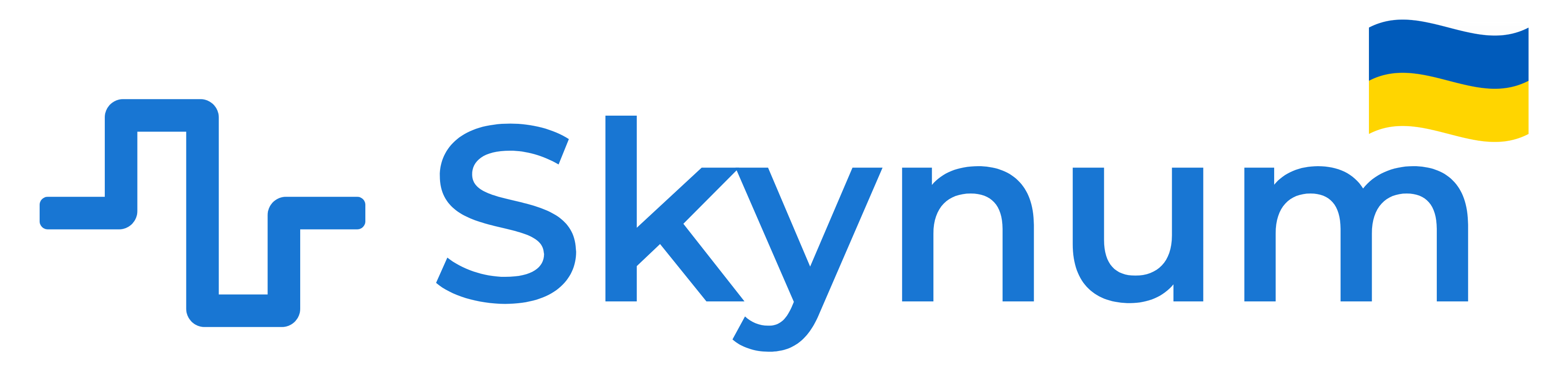 skynum